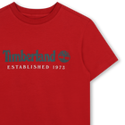 T-shirt a maniche corte TIMBERLAND 
                    RAGAZZO