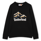 FELPA TIMBERLAND 
                    RAGAZZO
