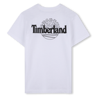 T-shirt a maniche corte TIMBERLAND 
                    RAGAZZO