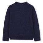Maglione lavorato a maglia BILLIEBLUSH 
                    RAGAZZO