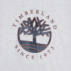 T-shirt logata a maniche corte TIMBERLAND 
                    RAGAZZO