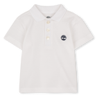 Polo a maniche corte TIMBERLAND 
                    RAGAZZO