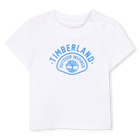 Set t-shirt e pantaloncini TIMBERLAND 
                    RAGAZZO