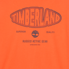 T-shirt in jersey a maniche lunghe TIMBERLAND 
                    RAGAZZO
