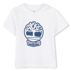 T-shirt a maniche corte TIMBERLAND 
                    RAGAZZO