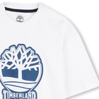 T-shirt bicolore con logo TIMBERLAND 
                    RAGAZZO