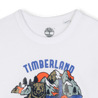 T-shirt in jersey a maniche corte TIMBERLAND 
                    RAGAZZO