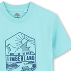 T-shirt a maniche corte TIMBERLAND 
                    RAGAZZO