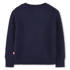 Maglione lavorato a maglia BILLIEBLUSH 
                    BAMBINA