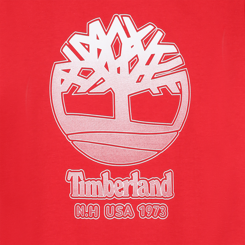 T-shirt a maniche corte TIMBERLAND 
                        RAGAZZO