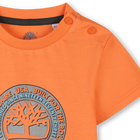 T-shirt a maniche corte TIMBERLAND 
                    RAGAZZO
