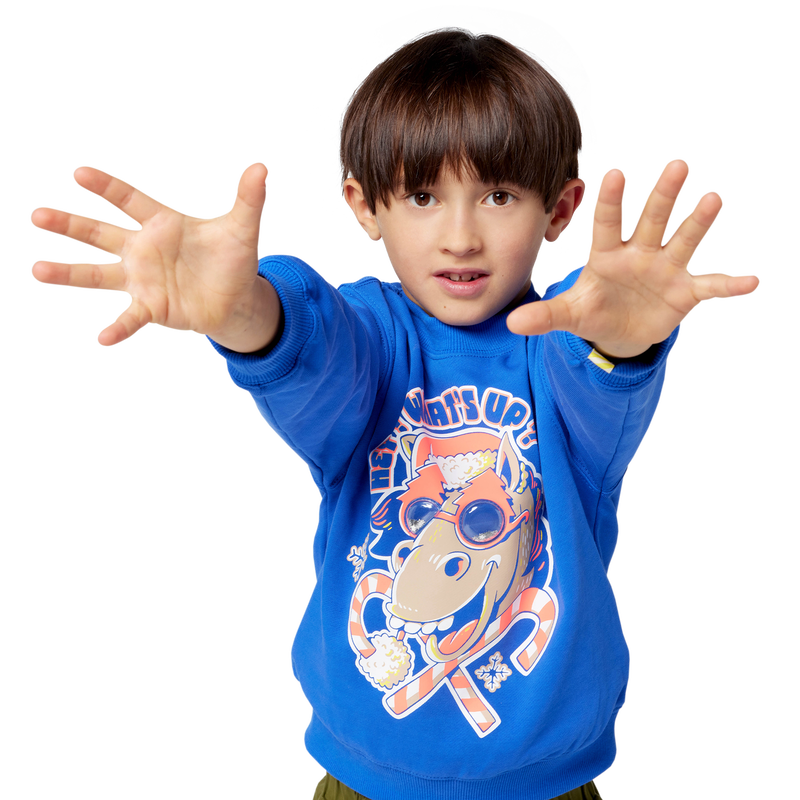 Felpa di Natale BILLIEBLUSH 
                        RAGAZZO