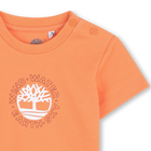 T-shirt a maniche corte TIMBERLAND 
                    RAGAZZO