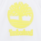 T-shirt a maniche corte jersey TIMBERLAND 
                    RAGAZZO