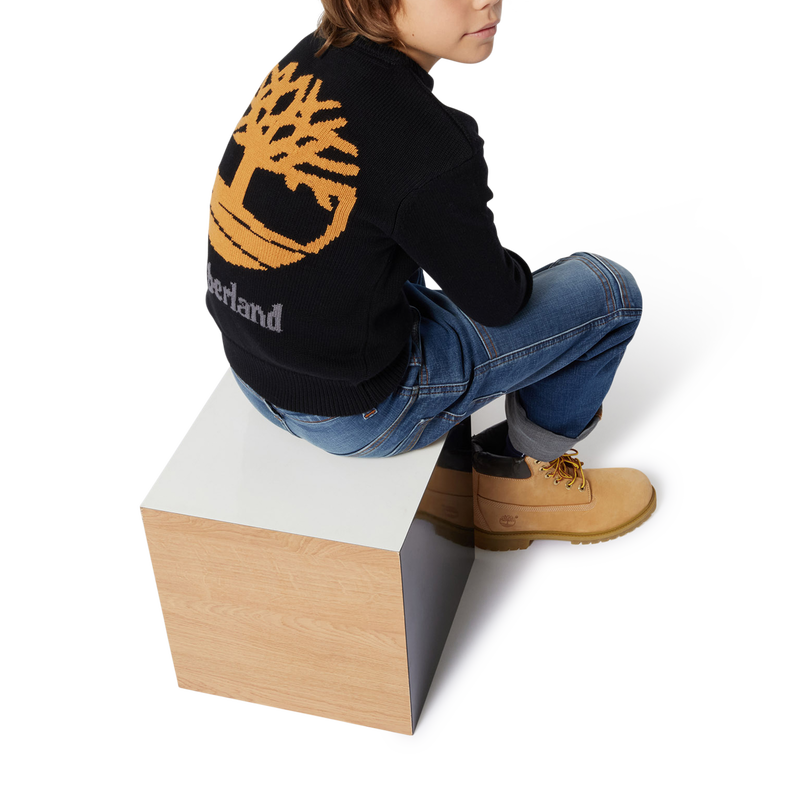 Maglione cotone e lana TIMBERLAND 
                        RAGAZZO