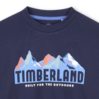 T-shirt in jersey a maniche lunghe TIMBERLAND 
                    RAGAZZO
