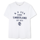 Set di 2 t-shirt con stampa TIMBERLAND 
                    RAGAZZO