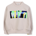 Felpa in pile BILLIEBLUSH 
                    RAGAZZO