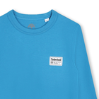 T-shirt tinta unita etichetta TIMBERLAND 
                    RAGAZZO