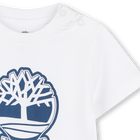 T-shirt a maniche corte TIMBERLAND 
                    RAGAZZO