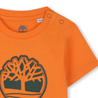 T-shirt a maniche corte TIMBERLAND 
                    RAGAZZO